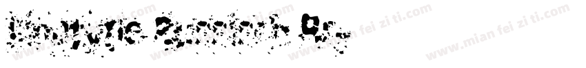 Linotype Russisch Br字体转换